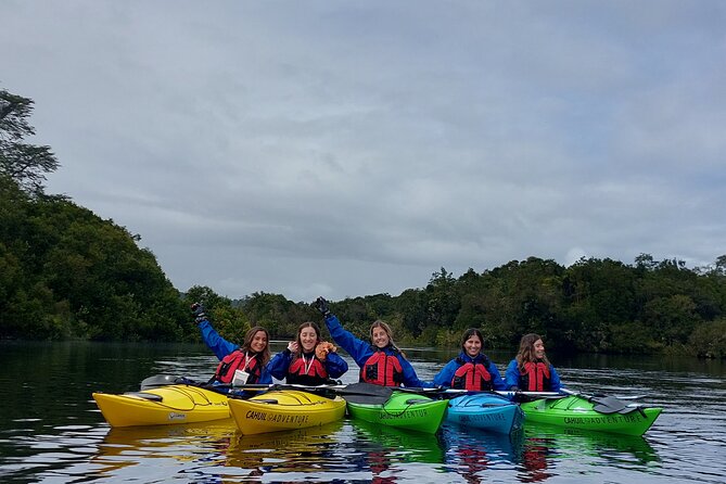 Kayak through the Sunken Forest of the Maullín River - What happens during the four-hour outing
