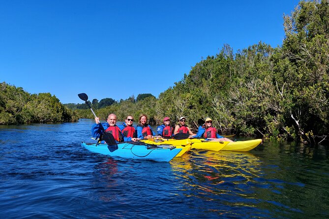 Kayak through the Sunken Forest of the Maullín River - What the $95 price includes