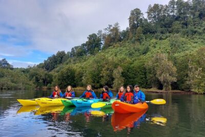 Kayak through the Sunken Forest of the Maullín River