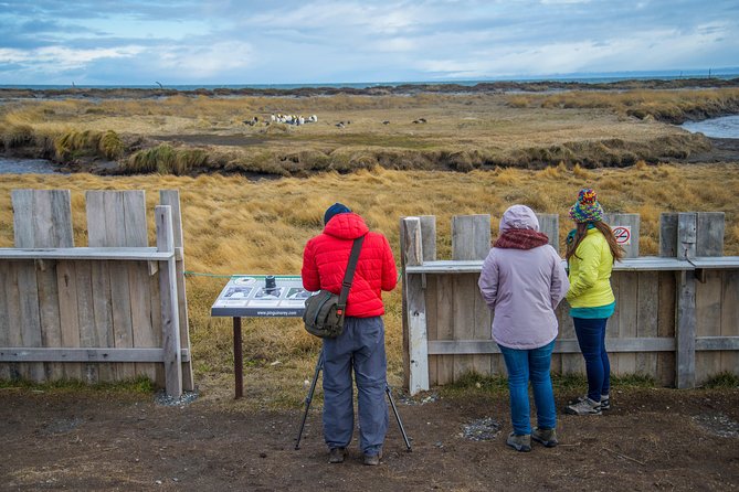King Penguin Nature Reserve - Tierra del Fuego Island - Estancia San Gregorio and the old sheep country