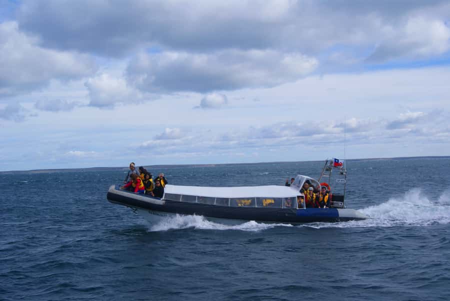 Magdalena Island Penguin Tour by Boat from Punta Arenas - The lighthouse and interpretation center