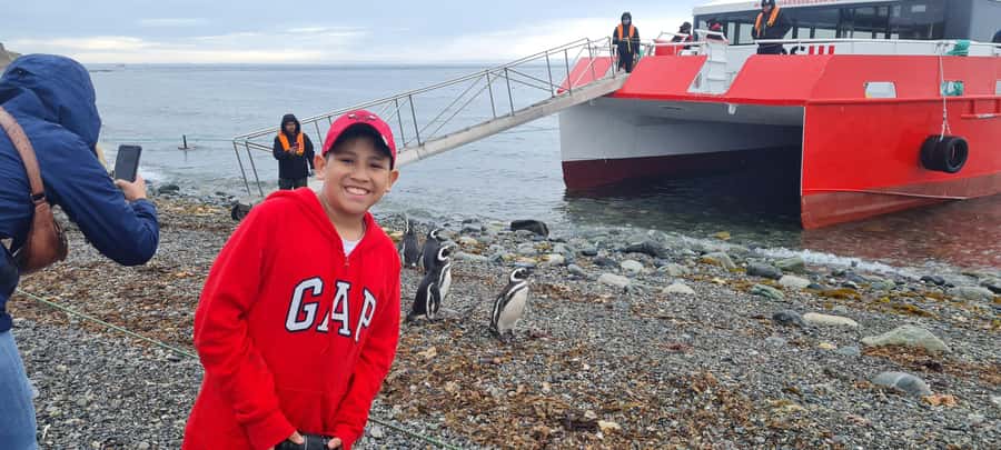 Magdalena Island: Walk with the penguins - What the $170 price means