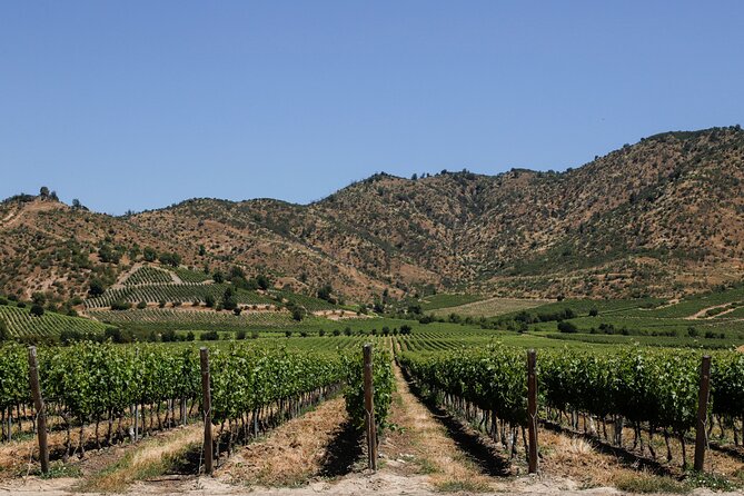 Moment Tour Tasting Icon - A small winery with a family story