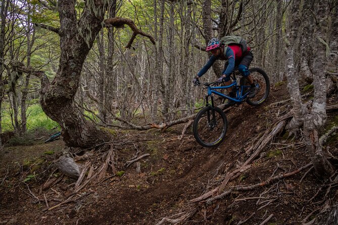 Mountain Bike Adventure in Punta Arenas - Why this Punta Arenas ride is more than a bike rental
