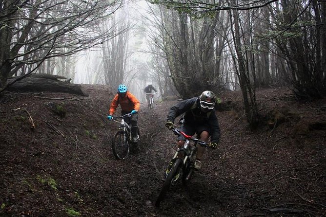 Mountain Bike Adventure in Punta Arenas - Who should book this ride?
