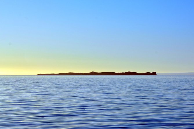 Navigation Magdalena Island and Marta - Why Isla Magdalena is the main event