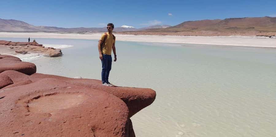 Piedras Rojas, Altiplanics Lagoons & Salar Full-Day Tour - Key points to know before booking