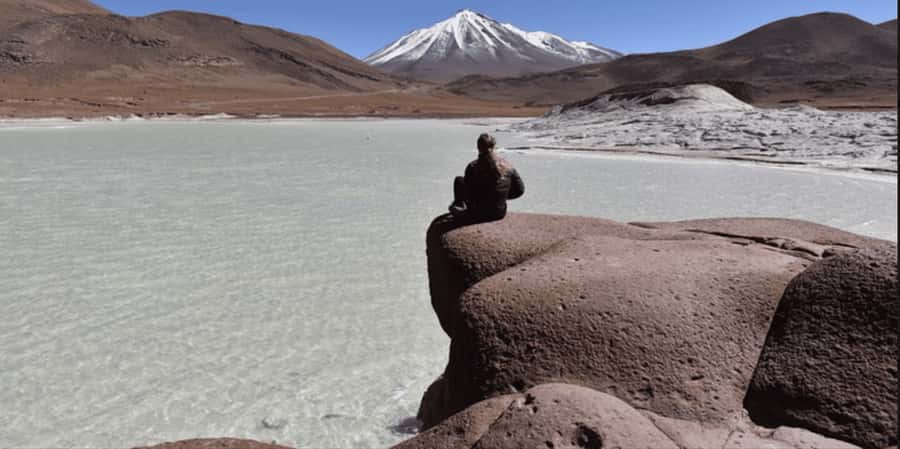 Piedras Rojas, Altiplanics Lagoons & Salar Full-Day Tour - Piedras Rojas and the purple stones of Salar de Talar