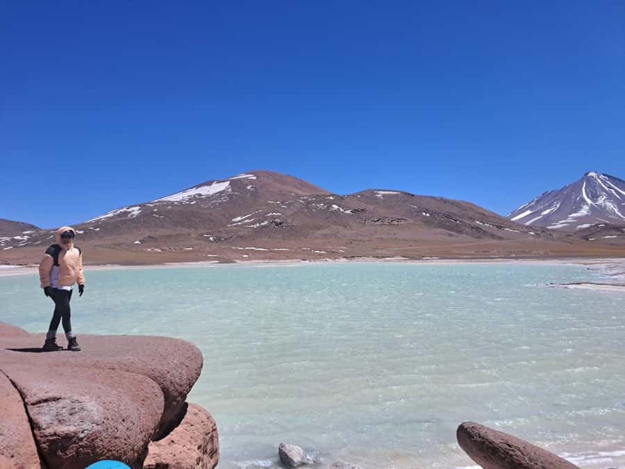 Piedras Rojas, Altiplanics Lagoons & Salar Full-Day Tour - Who should choose this Atacama day tour?
