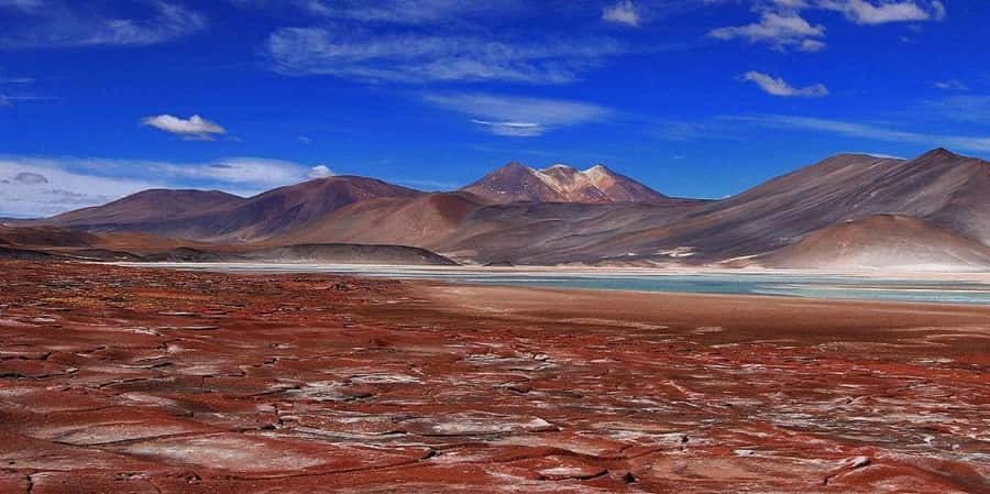 Piedras Rojas, Altiplanics Lagoons & Salar Full-Day Tour - Breakfast beside Miscanti and Miñiques Lagoons