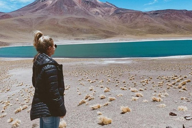 Piedras Rojas and Altiplanic Tour - A full day of changing Atacama scenery