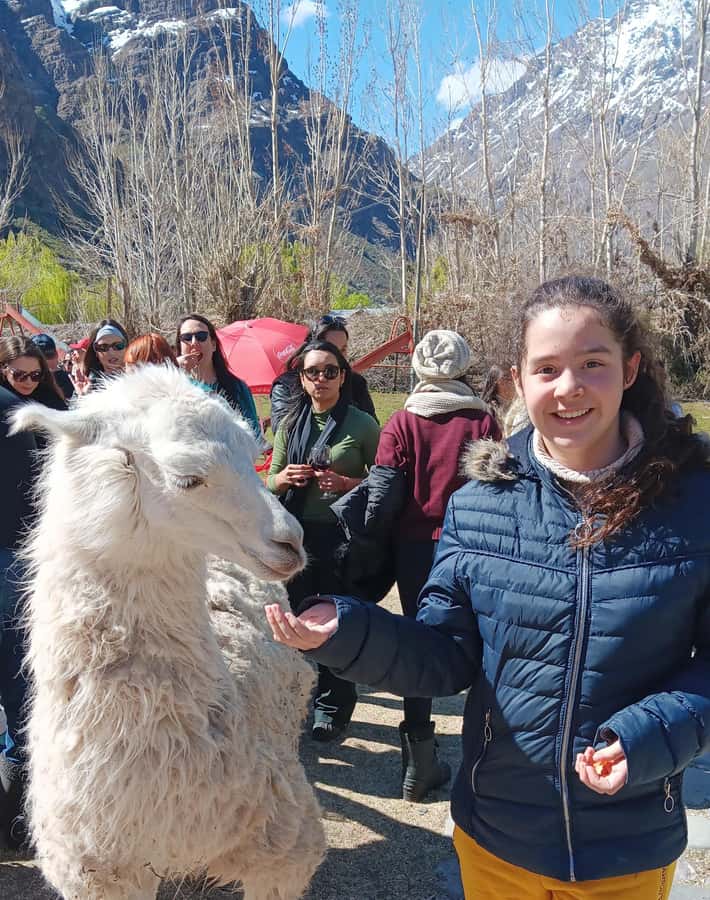 Portillo + Laguna del Inca with picnic - Key points to know before booking