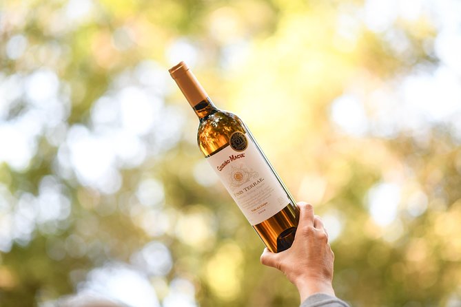 "Premium Wine Tour" Viña Cousiño Macul Official english - Historic cellars before the tasting room