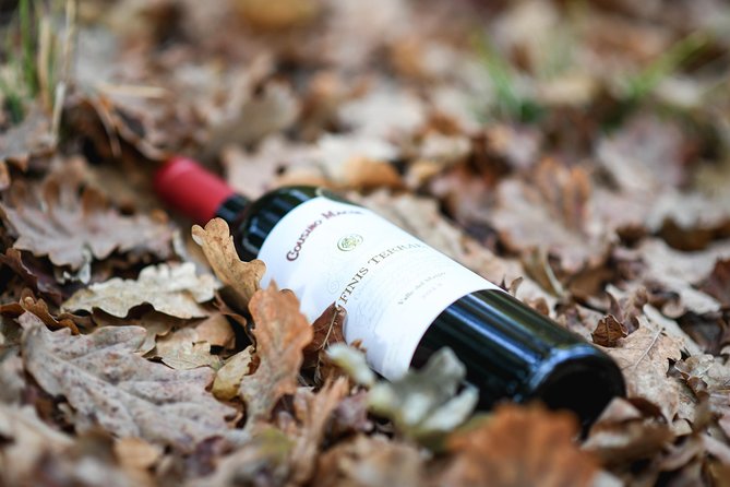 "Premium Wine Tour" Viña Cousiño Macul Official english - Three premium wines and small food pairings