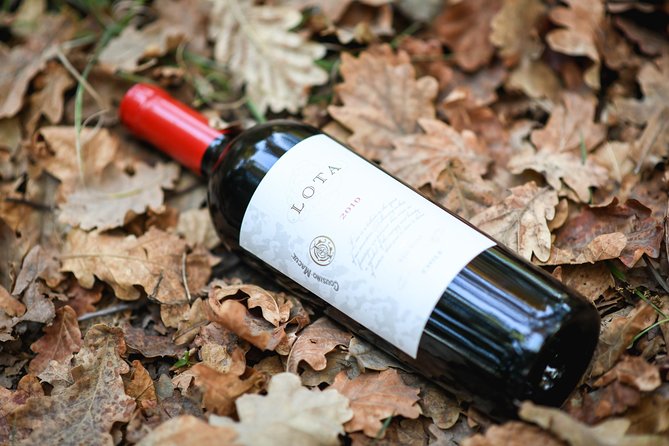 "Premium Wine Tour" Viña Cousiño Macul Official english - What the guide adds to the visit