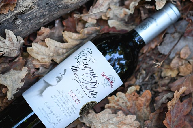 "Premium Wine Tour" Viña Cousiño Macul Official english - Who should book this experience?