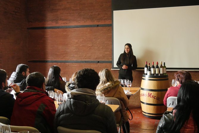 "Premium Wine Tour" Viña Cousiño Macul Official english - Arriving at Av. Quilín 7100 in Peñalolén