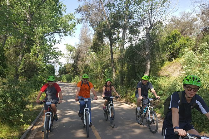 Private Full-Day Bike Tour of Santiago Cultural 5-6 hrs - Central Market and the Old Riverside Route