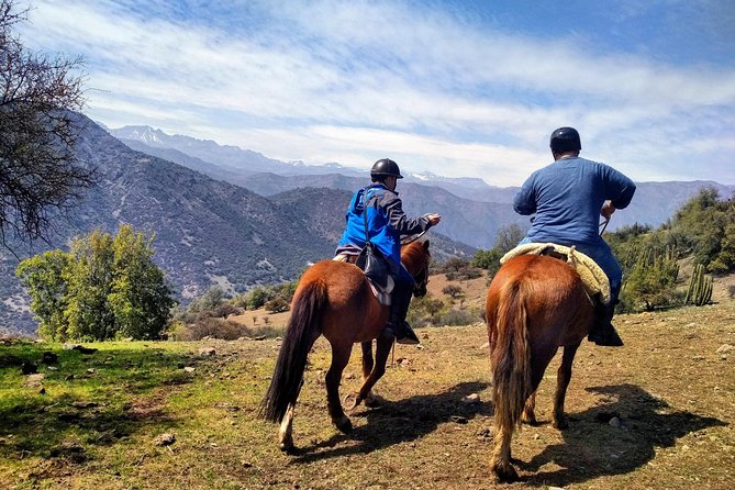 Private Horseback Adventure in the Andes, with Picnic & Wine - Choosing a Criollo horse and learning the basics