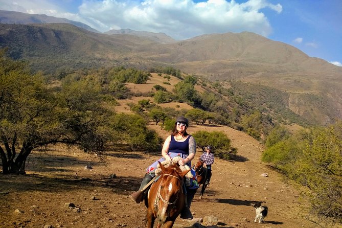 Private Horseback Adventure in the Andes, with Picnic & Wine - The ranch picnic and wine finish