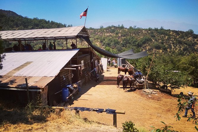 Private Horseback Adventure in the Andes, with Picnic & Wine - Summer sunset rides and timing choices