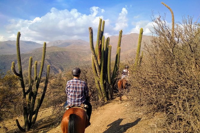Private Horseback Adventure in the Andes, with Picnic & Wine - Is $278.90 a fair price?