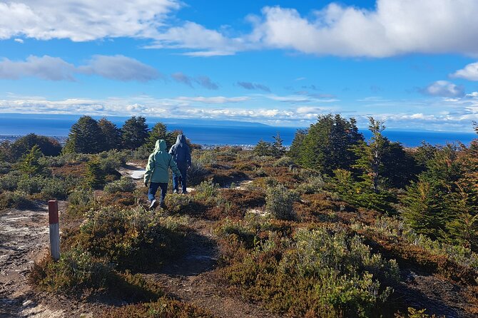 Private Patagonian Forest Hike in Punta Arenas: 4 Hour - Key points to know before booking