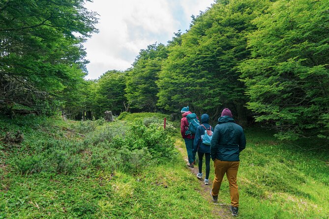Private Patagonian Forest Hike in Punta Arenas: 4 Hour - What the guides add to the day