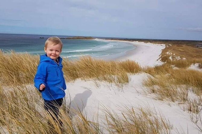 Private Penguin Paradise Tour: Penguins, Scenery & Stanley - Why Bertha’s Beach is worth the long ride
