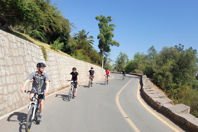 Private San Cristobal Hill & Metropolitan Park Santiago Bike Tour - What the $90.67 price buys you