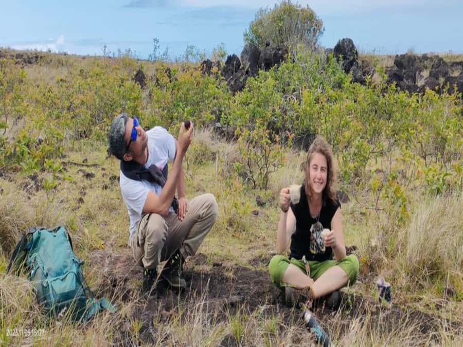 Private Tour: The Underground World of Rapa Nui Caves - Key points at a glance