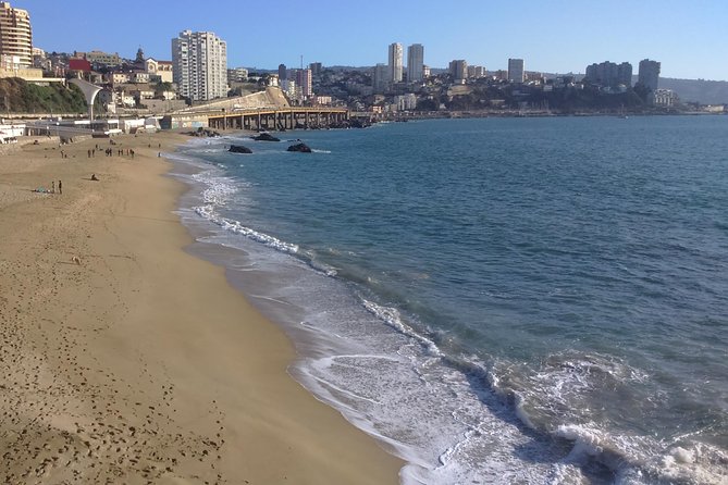 Private Valparaíso & Viña del Mar Day Trip with Boutique Winery - A first taste of Casablanca Valley at Bodega RE