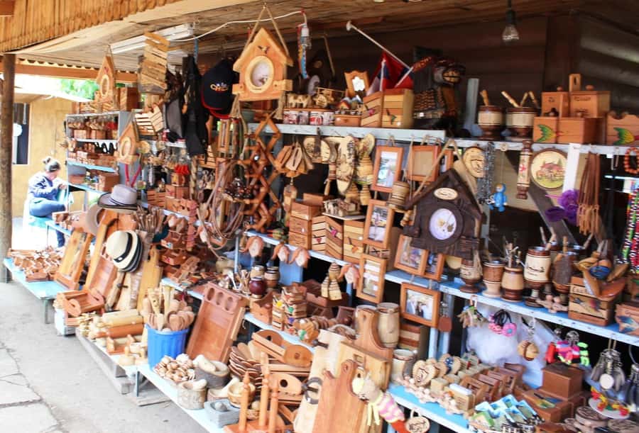 Pucón and Villarrica: Guided Tour with Hotel Pickup - Villarrica waterfront and local character