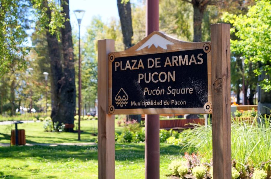 Pucón and Villarrica: Guided Tour with Hotel Pickup - Pucón’s wooden flowers and O’Higgins Street