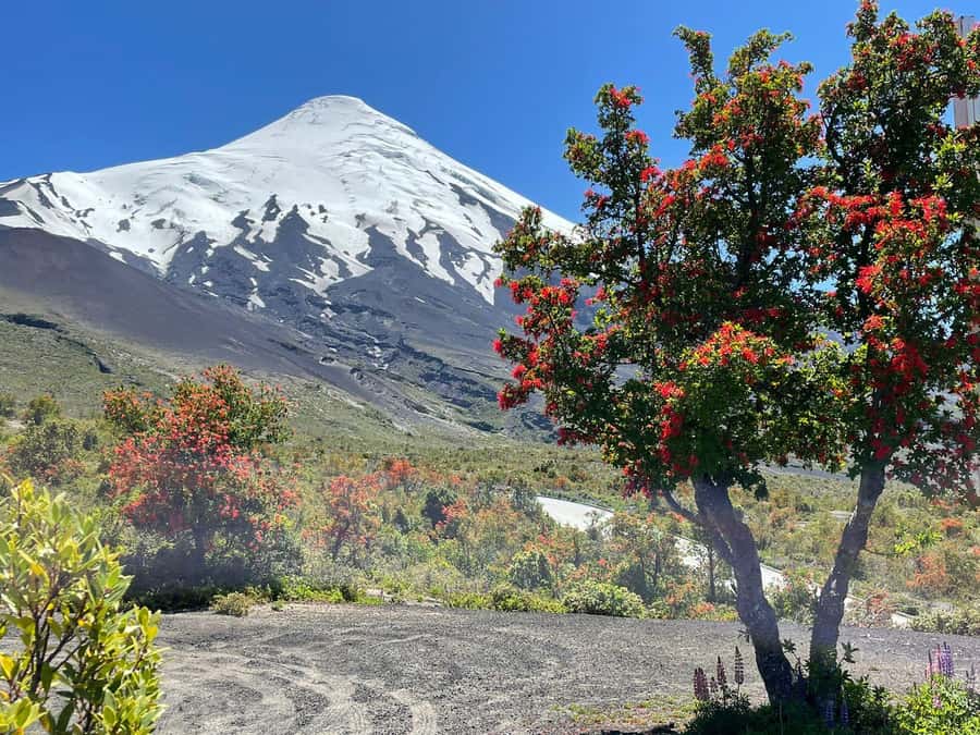 Puerto Montt: Osorno Volcano Tour Shore Tour in Private - Puerto Montt, the port city opening