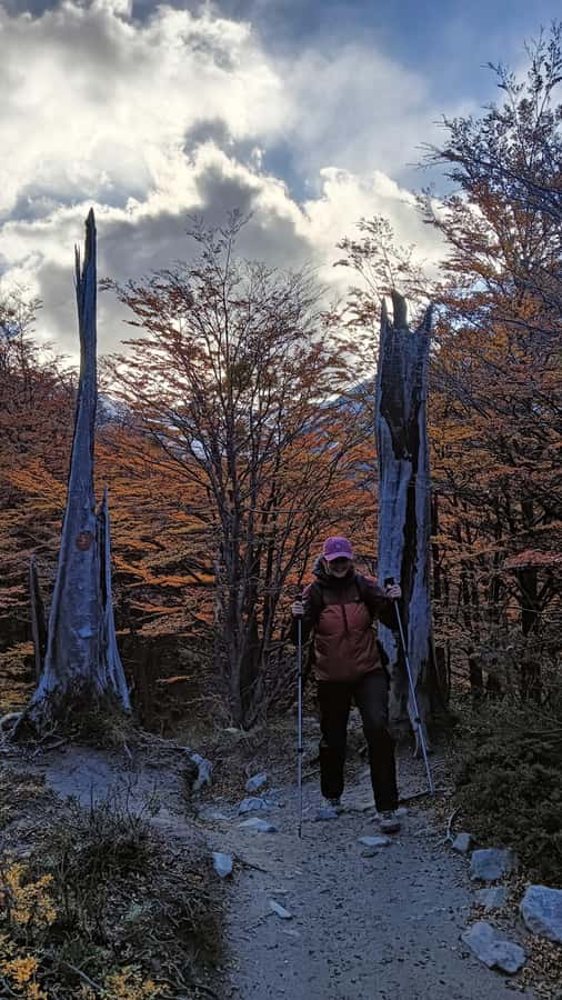Puerto Natales: Base of the Towers Trekking Experience - Weather, clothing, and food preparation