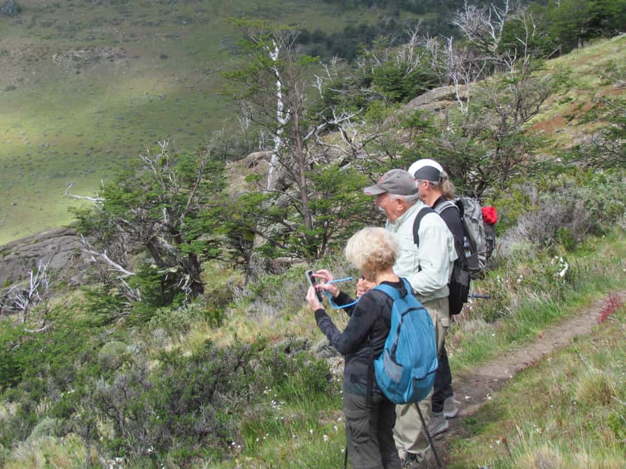 Puerto Natales: Cerro Benitez Half-Day Hike with Condors - Practical value, timing, and what to bring