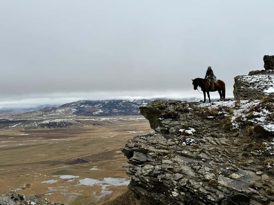 Puerto Natales: Full Day Horse Riding to the Mountains - Meeting the horses at Hotel Posada Tres Pasos