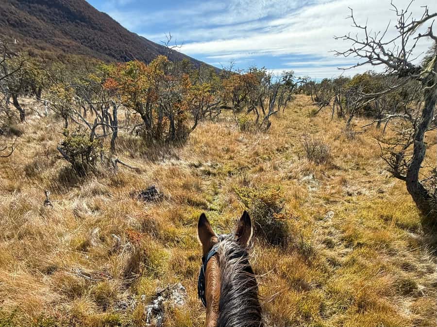 Puerto Natales: Full Day Horse Riding to the Mountains - Optional mindfulness on the mountaintop