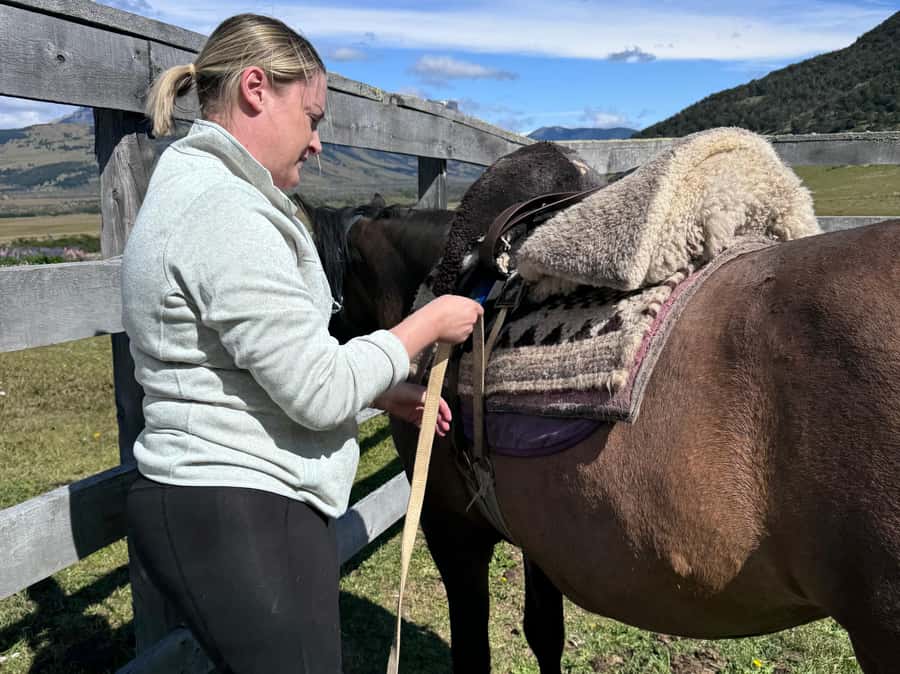 Puerto Natales: Full Day Horse Riding to the Mountains - Coffee, tea, and the ride back to Puerto Natales