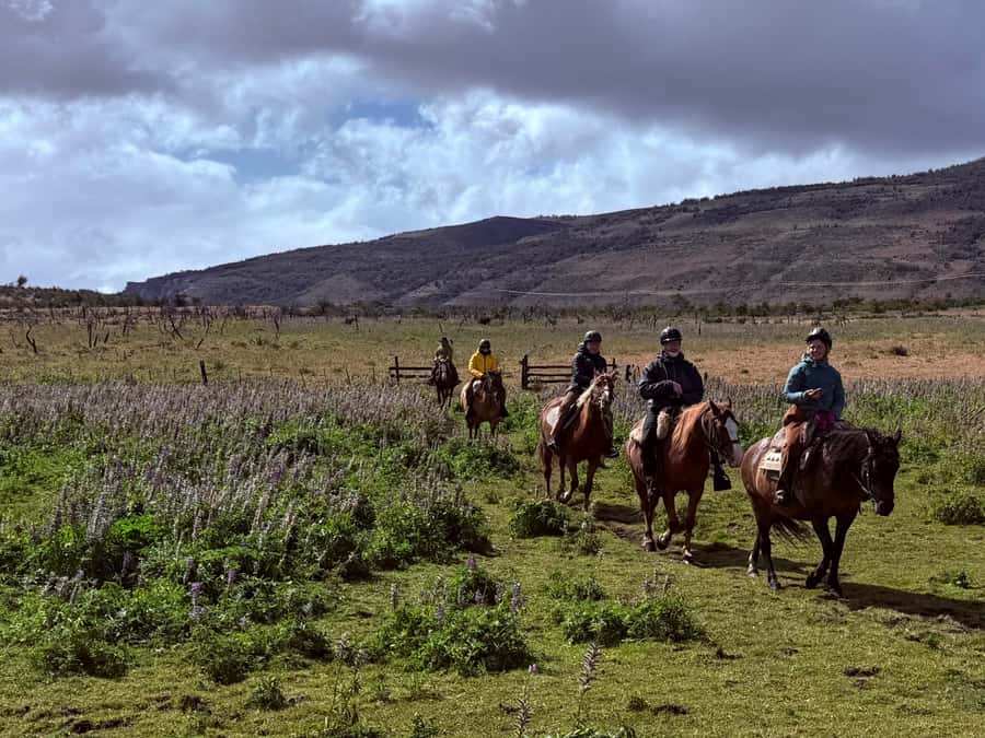 Puerto Natales: Full Day Horse Riding to the Mountains - Catching, brushing, and tacking your own horse