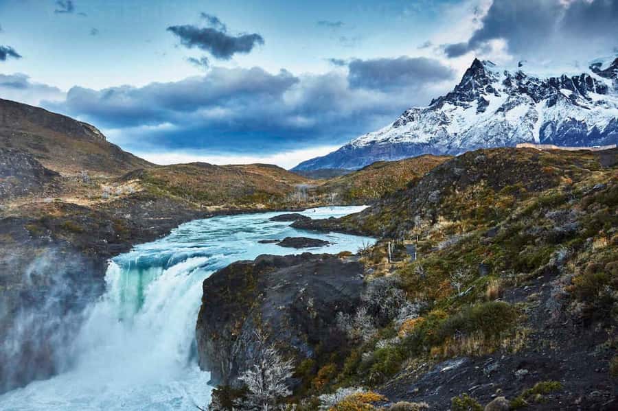 Puerto Natales: Full Day Torres del Paine + Milodon Cave - Wildlife from the road and viewpoints