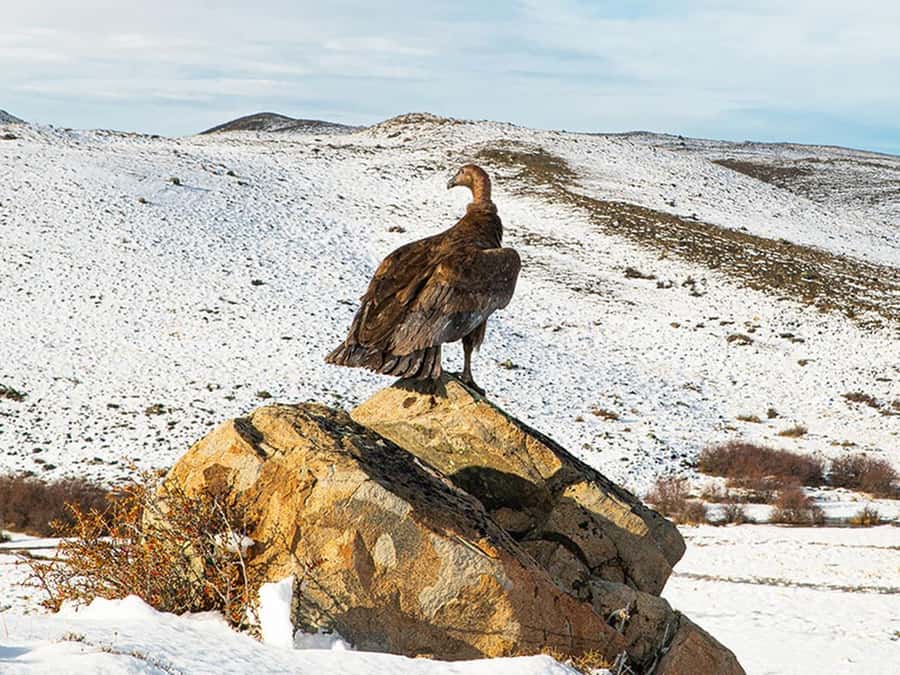 Puerto Natales: Full-Day Torres del Paine Tour - Salto Grande, where the water takes over
