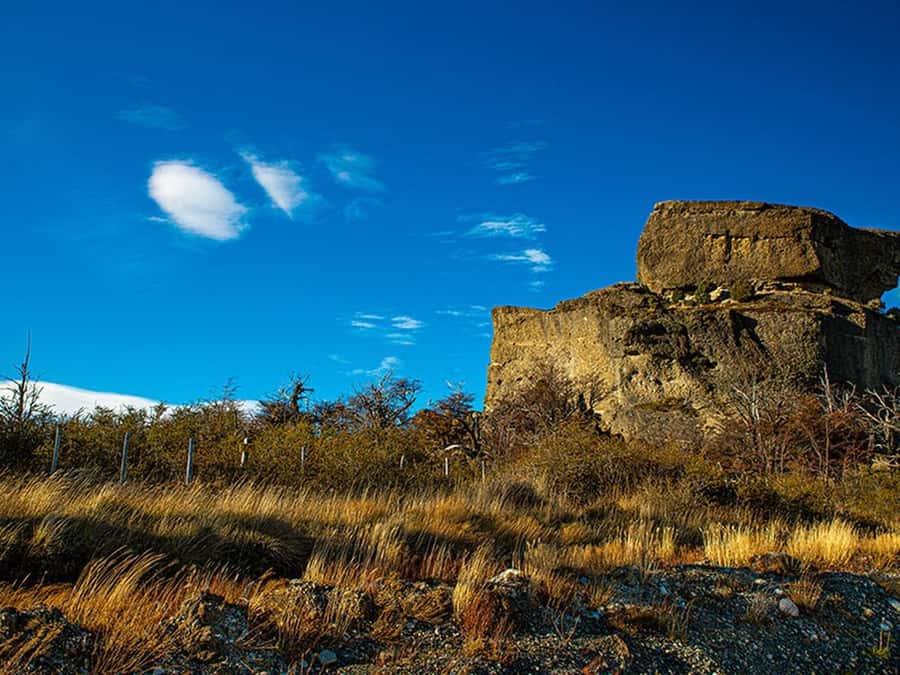 Puerto Natales: Full-Day Torres del Paine Tour - Laguna Amarga and the first view of the towers
