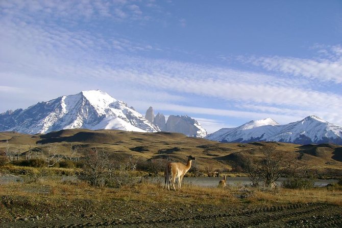 Puerto Natales: Full day tour Torres del Paine - What this Puerto Natales day trip is really like