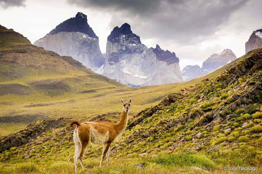 Puerto Natales: Full day tour Torres del Paine National Park - The 10:30 a.m. departure from Punta Arenas