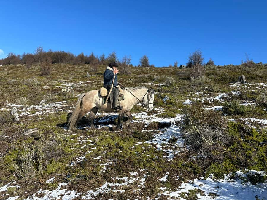 Puerto Natales: Horseback Riding to Dorotea Fjord Lookout - Reaching Cerro Dorotea from Puerto Natales