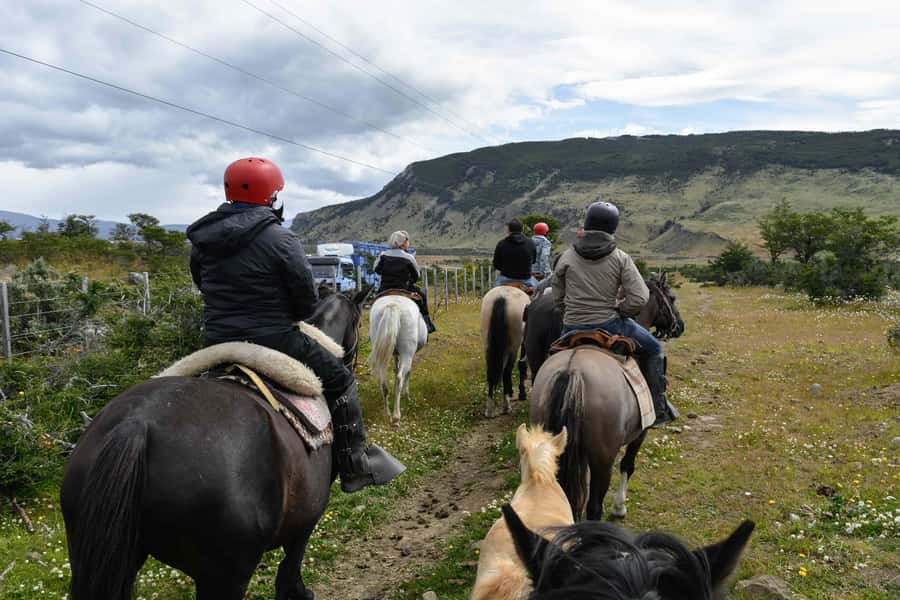 Puerto Natales: Horseback Riding to Dorotea Fjord Lookout - Three hours through forests and meadows