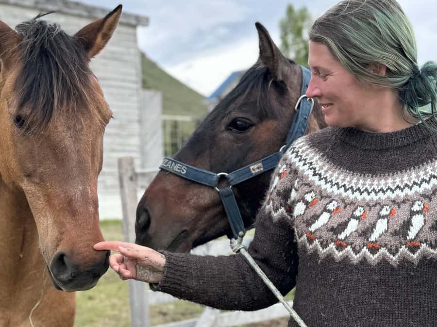 Puerto Natales: Horseback Riding with Horse Connection - Key points to know before booking