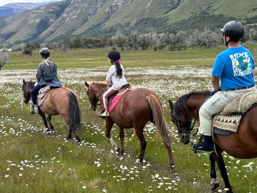 Puerto Natales: Horseback Riding with Horse Connection - Why this is more than a standard trail ride